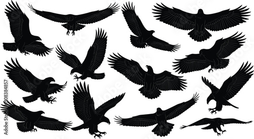 eagle, bird, silhouette, hawk, falcon, raven, wings, flying, predator, wildlife, nature, black, animal, avian,  