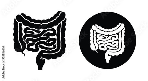 Diagram of the human small intestine medical illustration black silhouette