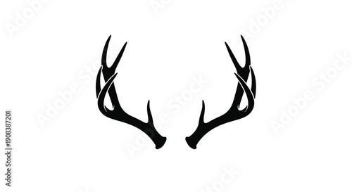 Black antlers against a white background a striking silhouette