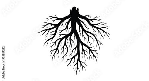 Intricate tree root system displayed in a stark black silhouette