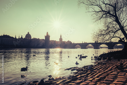 Photography Swans and small birds enjoy the water on a cold winter morning on the banks of the Vltava River with the Charles Bridge in the background