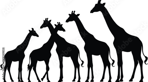 Giraffe silhouette collection, wild African safari animals set, black vector illustration isolated on white background
