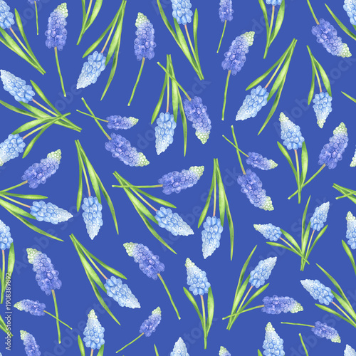 Bilde på lerret Blue muscari pattern blue