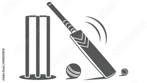 Cricket Bat and Ball with Wickets Iconography in Dark Gray sport