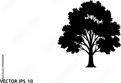 Tree silhouette icon collection, forest and pine tree vector set, nature foliage design bundle, simple black isolated tree shapes