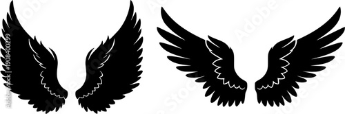 Stylized single bird wing graphic with detailed feathers rendered in black and white perfect for various creative projects and apparel printing