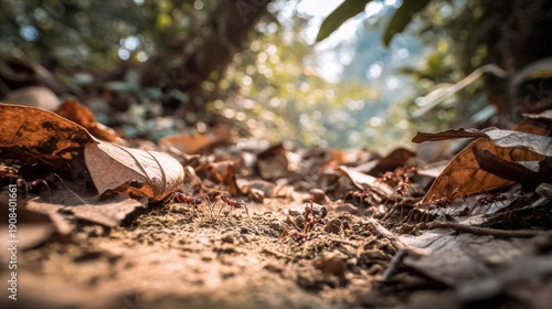 Ant colony swarming on the forest ground illuminated by soft sunlight