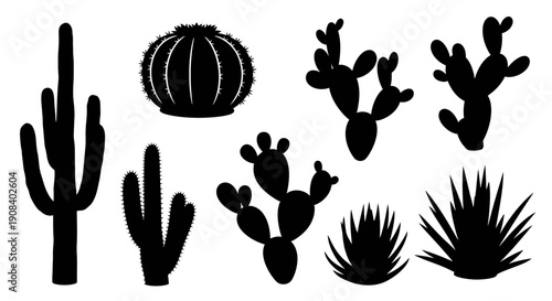 A collection of cacti and succulents silhouetted against a plain white background, showcasing various shapes and sizes in a vector illustration.