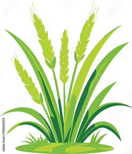 style vector illustration of healthy rice plant, flat design, smooth rounded shapes, vibrant natural green colors, clean outline, no text, no logo, isolated on white background,