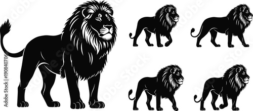 Set of lion silhouettes in different walking poses, powerful African big cat collection, black vector illustration with detailed mane, isolated on white background.