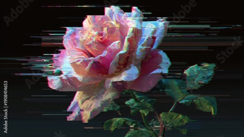 Wallpaper Mural Glitch art rose with digital distortion effect. Torontodigital.ca