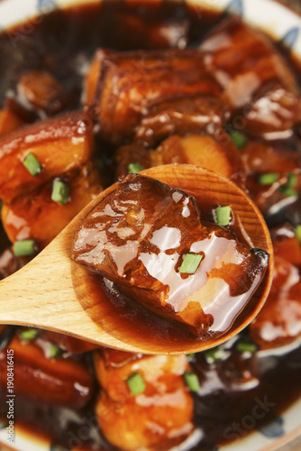 Chinese Dongpo Pork Belly Stew with Glossy Sauce and Scallions Traditional Asian Cuisine