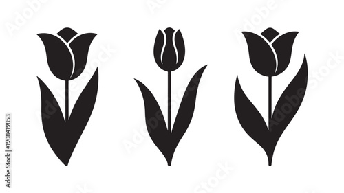 Tulip Silhouettes in Simple Modern Style with Black Color on White Background for Graphic Design