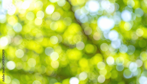 Spring Green Bokeh Background with Blurred Foliage and Bright Natural Light