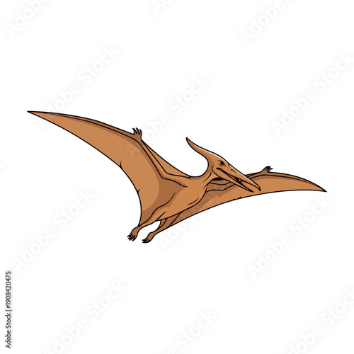 Flying Pterodactyl Dinosaur Vector Illustration Cartoon Style