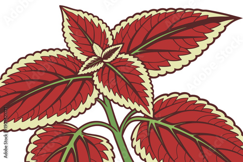 A vibrant illustration of a red plant with green stems and yellow edges on its leaves