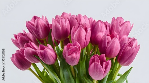 Beautiful Bouquet of Pink Tulips on a Light Background.
