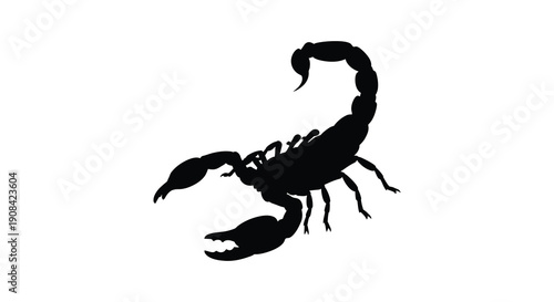A striking black silhouette depicts a scorpion with its tail arched and claws extended poised for defense