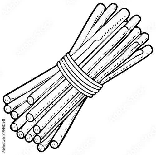 Hand drawn bundle of kindling sticks tied with rope vector line art illustration
