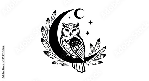 Owl on crescent moon illustration