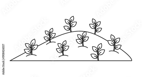 Simple black and white illustration of plants growing on a hill.