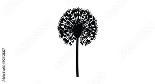 A striking black and white illustration depicts a fully bloomed dandelion seed head on a slender stem high quality professional