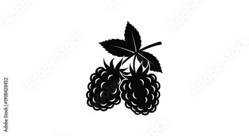 A stark black and white illustration depicts a cluster of ripe blackberries with detailed leaf structures high quality professional modern