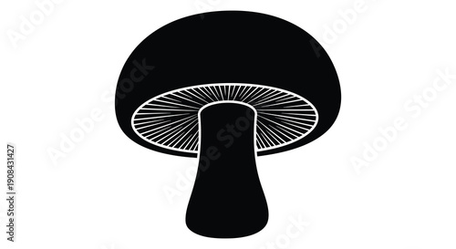 A striking black illustration depicts a detailed mushroom with delicate gill structures presented as a silhouette high quality