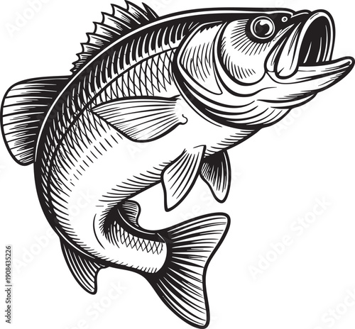 Leaping largemouth bass fish illustration graphic design element for fishing and outdoor recreation themes