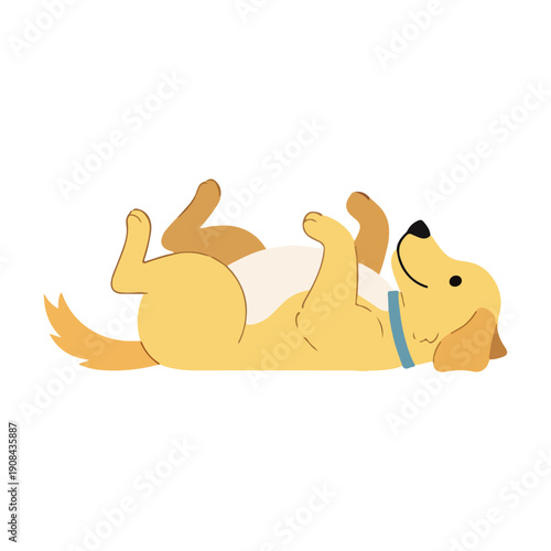Happy Golden Retriever Puppy Lying on Back Belly Up Cute Vector