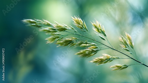 Close-up of a delicate grass seed head with a soft green bokeh background.