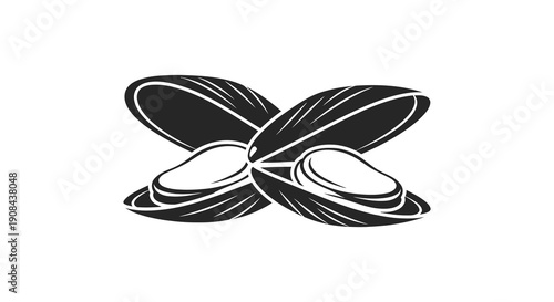 A minimalist black and white illustration depicts two mussels gently overlapping showcasing their distinctive shell shapes high quality