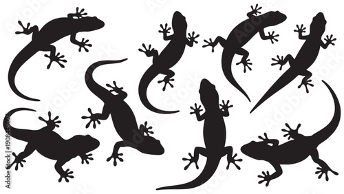 Eight gecko silhouettes in different poses isolated on transparent