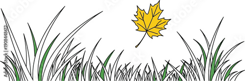 A single yellow maple leaf falls gently through the air above green grass.