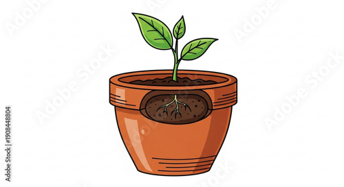 Small green plant sprout growing in terracotta pot with soil
