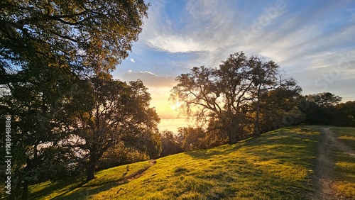 breathtaking view of a colorful springtime sunrise