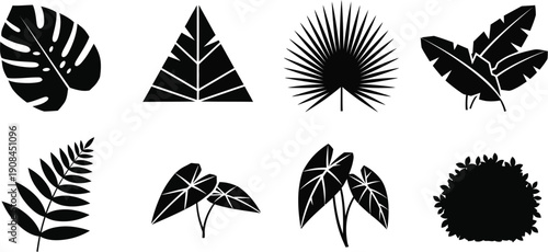 Group of diverse tropical and jungle foliage leaf shapes artistically rendered as solid black vector icons.