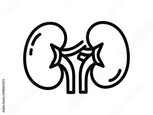 Stylized outline of human kidneys, representing health, medical concepts, or anatomy