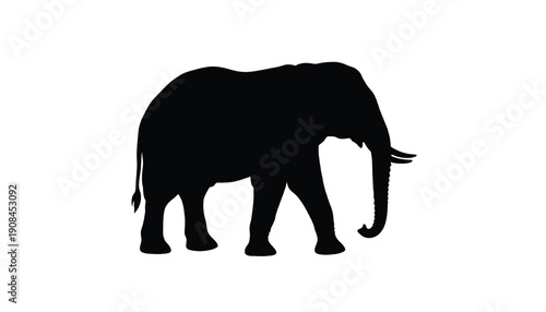 Elephant silhouette with detailed features standing alone featuring black, animal, wildlife with mammal and large elements for tusk, trunk projects, clean composition on simple background