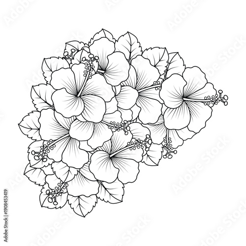 rose of sharon flower coloring page illustration with line art stroke of black and white hand drawn