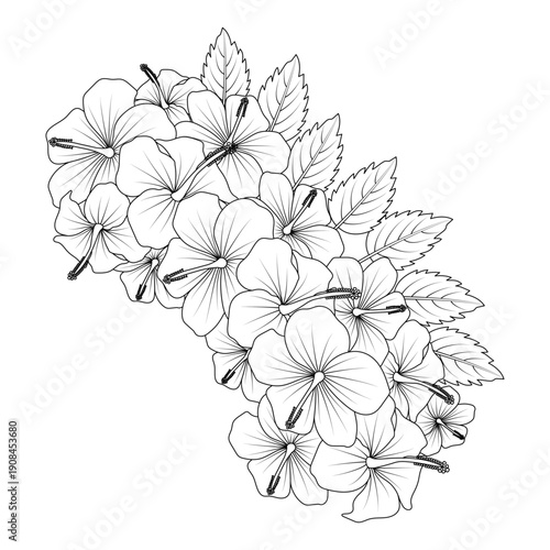 chinese hibiscus flower hand drawn coloring page illustration with line art on isolated background