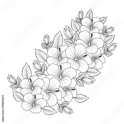chinese hibiscus flower hand drawn coloring page illustration with line art on isolated background