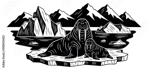 Graphic line art illustration of walruses depicting an arctic scene with mother and pup on ice for nature and polar themes