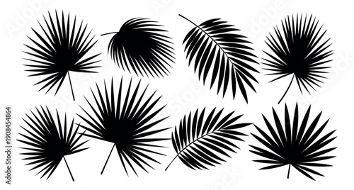 Modern palm leaves silhouette set featuring diverse tropical foliage for summer designs