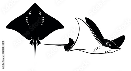 Stylized stingray set featuring two different views for marine life design