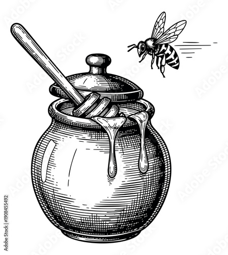 Hand drawn line art illustration of a honey pot with a dipper depicting a bee flying towards dripping honey for food and nature designs