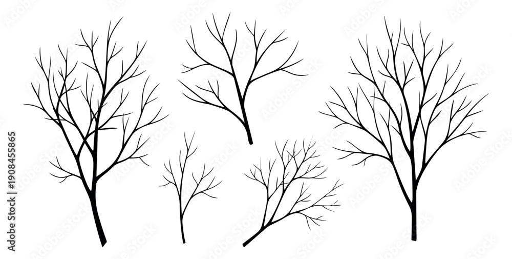Obraz premium Hand drawn line art tree set featuring bare branches for winter nature design