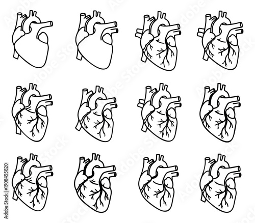 Line art anatomical human heart set featuring detailed internal structures for medical and educational purposes