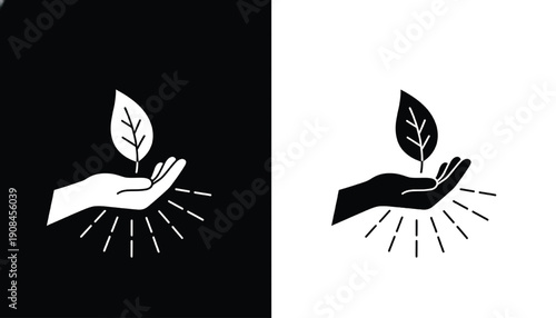 Hands holding leaves with radiant lines set with black and white styles featuring hand, leaf, ecology with environment and nature elements for protection, care projects, clean composition on simple