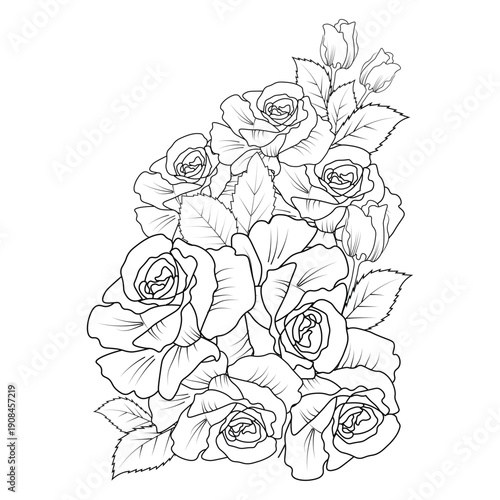 rose flower vector illustration with rose bouquet blooming petal for adult coloring page